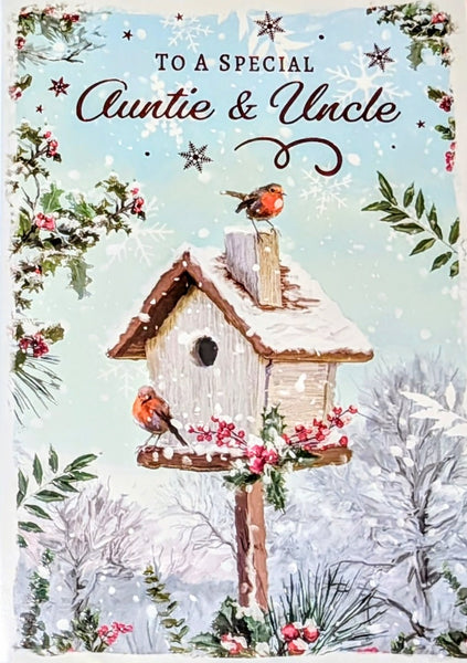 Auntie and Uncle Christmas Traditional Robins On Bird House