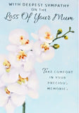 Sympathy Mum - Orchid