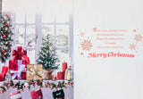 Neighbour Christmas - Traditional Window & Gifts