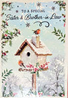 Sister & Brother In Law Christmas - Traditional Robins On Birdhouse