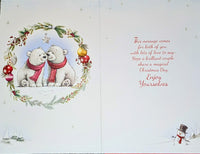 Special Couple Christmas - Cute Polar Bears