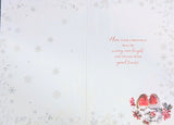 Friends Christmas - Traditional Robins