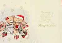 Neighbours Christmas - Cute Bears At Gate