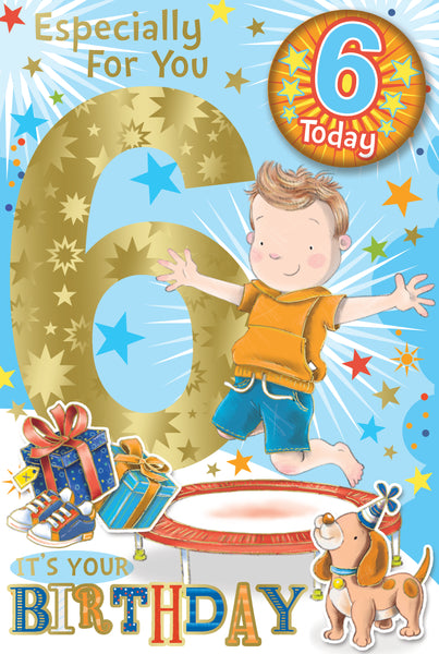 6 Boy Birthday - Badged