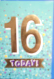 16 Boy Birthday - Pale Blue