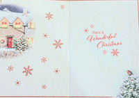 Neighbours Christmas - Traditional House & Robin Special