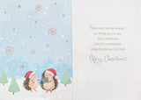 Our House To Yours Christmas - Cute Hedgehogs Wishes