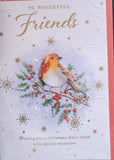 Friends Christmas - Traditional Robin