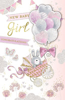 Baby Girl - Large 8 Page Baby Journal