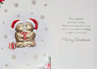 Friends Christmas - Cute Bears In Hats Special