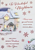 Neighbours Christmas - Traditional House & Robin Wonderful