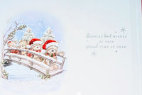 To All The Family Christmas - Cute Bears On Bridge