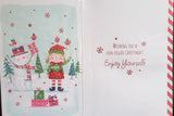 Special Little Girl Christmas