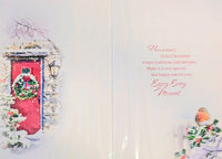 Neighbour Christmas - Traditional Red Door & Robin