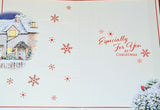 Neighbour Christmas - House & Robin Wonderful