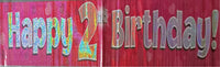 2 Birthday Pink Banner