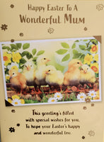 Easter Mum - Chicks