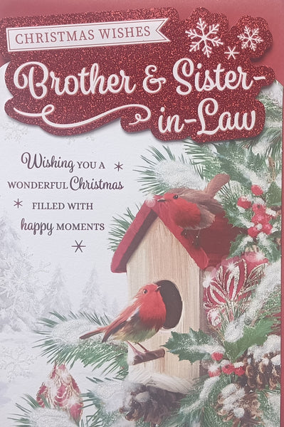 Brother & Sister In Law Christmas - Platinum Robins In Bird House
