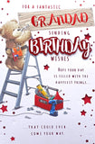 Grandad Birthday - Bear On Ladder