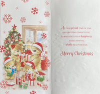 To all the Family Cute Slim 4 Bears